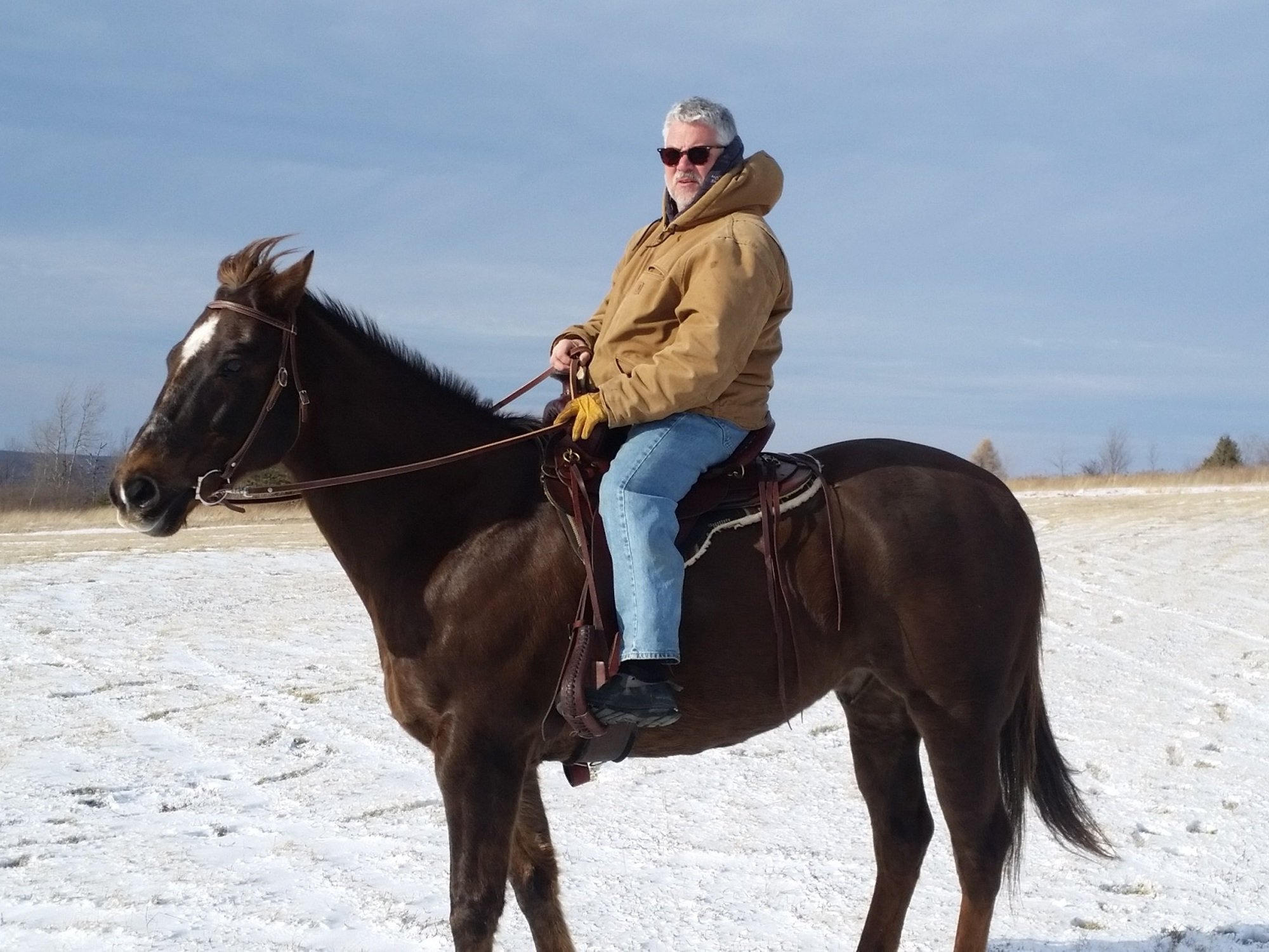 Man riding a brown horse in a snowy field, wearing a brown jacket and sunglasses, with a blue sky in the background.